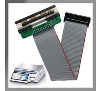 Pokanic Pièce de rechange pour imprimante à tête thermique compatible avec les séries CAS CL-5000, CL-5500, CL-7200 Bench and Pole Series, étiquettes transparentes pour impression de poids