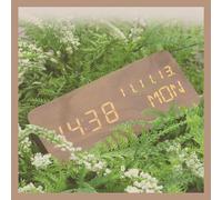 Pokanic Réveil numérique en bois, heure de bureau, date (MM/JJ/AA), jour de la semaine, température, veilleuse grand écran LED, lampe portable pour chambre, bureau, école, maison, salon, chambre