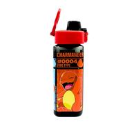 Pokemon Bouteille Réutilisable, Bouteille d'eau Rectangulaire pour Enfants, Bouteille de Voyage, Capacité 500ml
