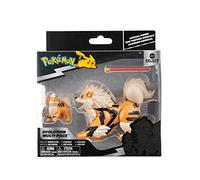Pokémon Evolution Multipack - Growlithe, Arcanine