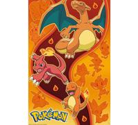 Pokemon - Fire Type - Anime Poster - Taille 61x91,5 cm sans accessoires