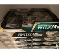 Pokémon - Coffret Givrali ou Phyllali VSTAR - Cartes à collectionner - Dès 6 ans - Modèle aléatoire