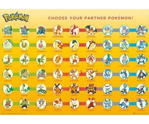 POKEMON Poster Partner Maxi - Garçon - A partir de 3 ans - Livré à l'unité