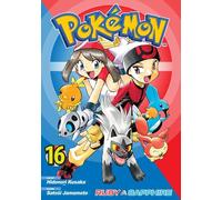 Pokémon Rubis et Saphir 16