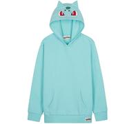 Pokémon Sweat à Capuche Garçon Ado, Pull Manga avec Poche Kangourou et Capuche, Pikachu Gengar Charizard Eevee, Cadeau Anime (13-14 Ans, Turquoise Bulbasaur)