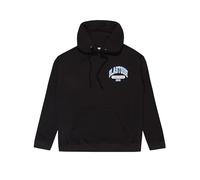 Pokémon Sweat à Capuche Hommes | Sweat à Capuche 100% Coton Blastoise pour Hommes | Tailles Small à XX-Large | Noir Grand