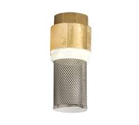 POKM Toolsmarket GmbH Clapet anti-retour - Vanne de pied - Vanne de pied - Crépine d'aspiration - Pompe - Laiton - 2"