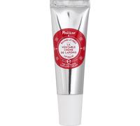 Polåar - Baume Lèvres Nourrissant La Véritable Crème de Laponie - Baies Arctiques & Beurre de Karité - Répare, Protège - Baume transparent 98% Naturel, Made in France - 10 ml