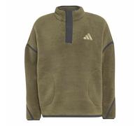 Polaire adidas Terrex Vert M