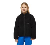 Dickies Mount Hope Full Zip Fleece Noir 14-15 Years Enfants