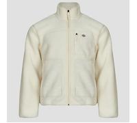 Polaire hommes Dickies MOUNT HOPE FLEECE Blanc EU XL
