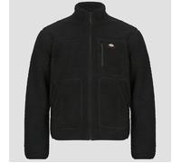 Polaire hommes Dickies MOUNT HOPE FLEECE Noir EU XL