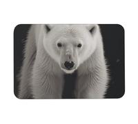 Polar Bear Diatomée Tapis de bain absorbant l'humidité et la saleté, paillasson avec dos en caoutchouc antidérapant, tapis de sol pour salle de bain, baignoire, douche, évier