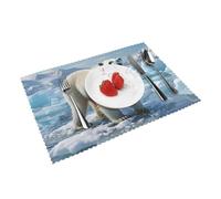 Polar Bear Ice Lot de 4 sets de table en vinyle résistants à la chaleur infroissables pour table de salle à manger intérieur/extérieur 30,5 x 45,7 cm