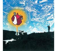 Polar Bear - In Each and Every One