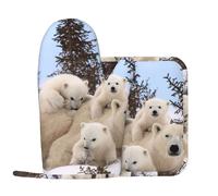 Polar Bear Lot de 2 gants de cuisine et maniques en silicone antidérapants résistants à la chaleur pour cuisine et pâtisserie Motif ours polaire