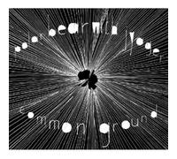 Polar Bear With Jyag - Common Ground