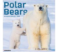 Polar Bears 12 X 12 Wall Calendar