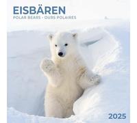 Polar Bears/Eisbärchen 2025: Kalender 2025