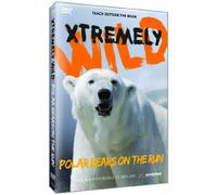 Polar Bears on The Run