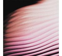 Polar - Everywhere,Everything (Digisleeve) [Import]