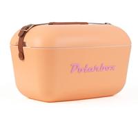 Polarbox Glacière Classique rétro Vintage pour Camping, Pique-Nique, Plage, 20 l, Sorbet/Rose