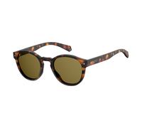 Polaroid Lunettes de soleil PLD 6042/S Polarisées Marron Havana Taille 49 Femme