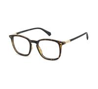 Polaroid, Homme, Accessoires, Brun, Taille: 51 MM PLD D563 086 Optical Frame