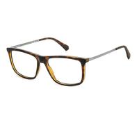 Polaroid Homme Polaroid PLD D497 086 Montures optiques Plastique Havane Carré