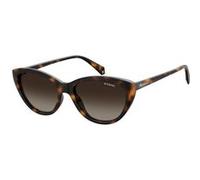 Polaroid lunettes de soleil PLD 4080/S ladies havanna avec verres marrons Marron G