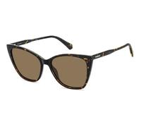 POLAROID lunettes, modèle PLD 4181, couleur havana, verre 56 mm, pont 16 mm