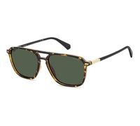 POLAROID lunettes, modèle PLD 4182, couleur havana, verre 57 mm, pont 16 mm