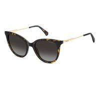 POLAROID lunettes, modèle PLD 4184, couleur havana, verre 52 mm, pont 19 mm