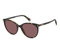 POLAROID lunettes, modèle PLD 6231, couleur havana, verre 55 mm, pont 18 mm