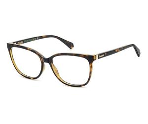 POLAROID lunettes, modèle PLD D544, couleur havana, verre 56 mm, pont 16 mm