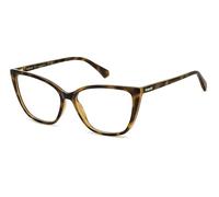 POLAROID lunettes, modèle PLD D545, couleur havana, verre 55 mm, pont 16 mm