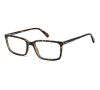 POLAROID lunettes, modèle PLD D546, couleur havana, verre 57 mm, pont 19 mm