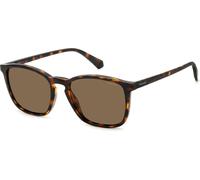 Polaroid PLD 4139/S HAVANA/BROWN 54/19/145 Lunettes de soleil pour hommes