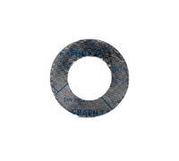 POLBERIS Joint DN15 PN25 gr 2mm Rondelle à bride en graphite plate IBC joint torique anneau de joint d'étanchéité pour bride en acier bride de soudage