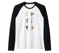 Pole Dance Exotic Shorthair Cat Manche Raglan