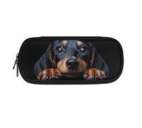 POLERO Trousse à crayons de dessin animé pour garçons et filles - Trousse de papeterie mignonne - Fournitures de bureau, Observation du teckel, One Size, Cartable