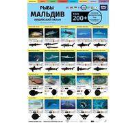 Polevoy Opredelitel Ryb: Top 200+ (Russian)