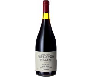 Poligonos San Pablo Malbec 2023 - Familia Zuccardi