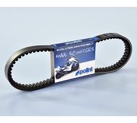 POLINI Courroie de transmission