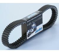 POLINI Courroie de transmission V-Belt renforcée