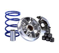 Polini Hi-speed 241762 Variator Kit Argenté