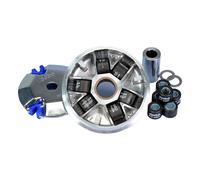 Polini Honda Bali 50-peugeot Sv Variator Kit Argenté