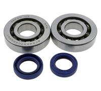 Polini Kit de réparation de vilebrequin (roulement & joint) compatible pour Piaggio 50 Scooter