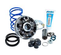 Polini Kit Variateur 241.749