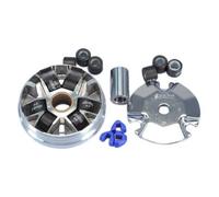 Polini Kit Variateur H.vision/wallaroo
